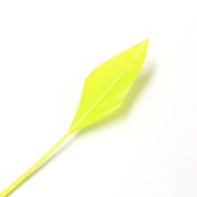 Flo Green Arrow Head Feather